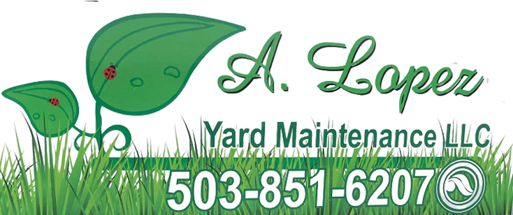 A Lopez Yard Maintenance A Lopez Yard Maintenance