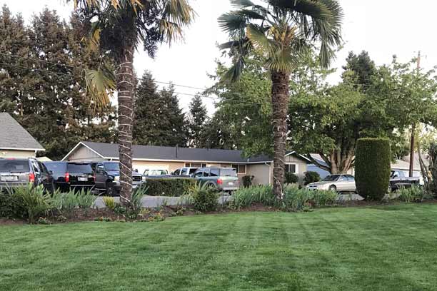 Tree Trimming — Salem, OR — A. Lopez Lawn Care Tree Trimming — Salem, OR — A. Lopez Lawn Care