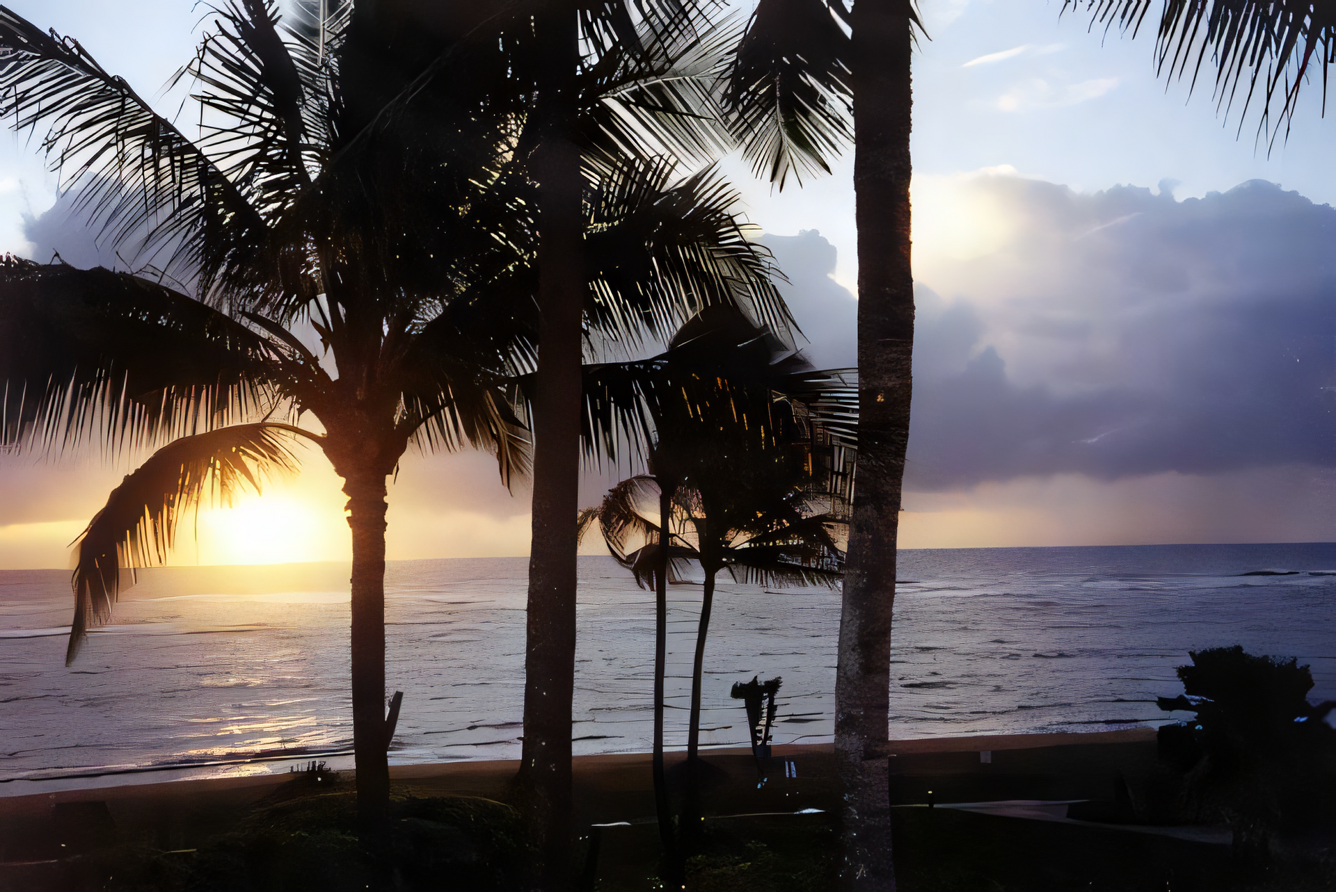 A sunset over the ocean with palm trees in the foreground