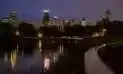 Night skyline of a city reflecting in water, with dark buildings and lights.