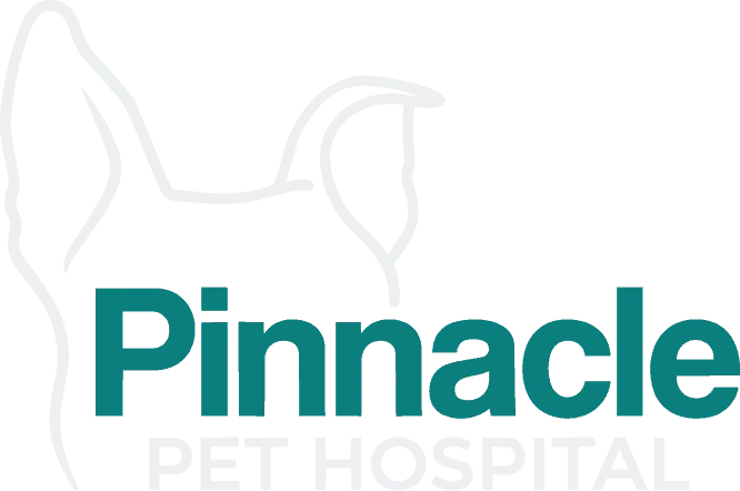 Pinnacle pet hospital logo