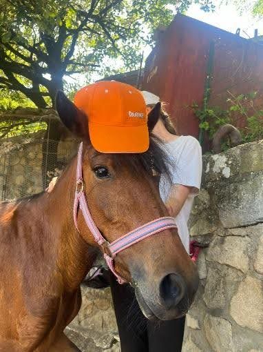stage equitation en colonie ardeche