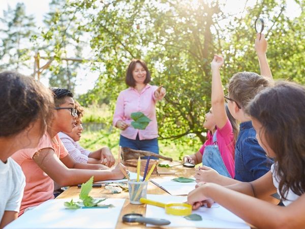 Des enfants attablés examinent des feuilles et interagissent avec un adulte 