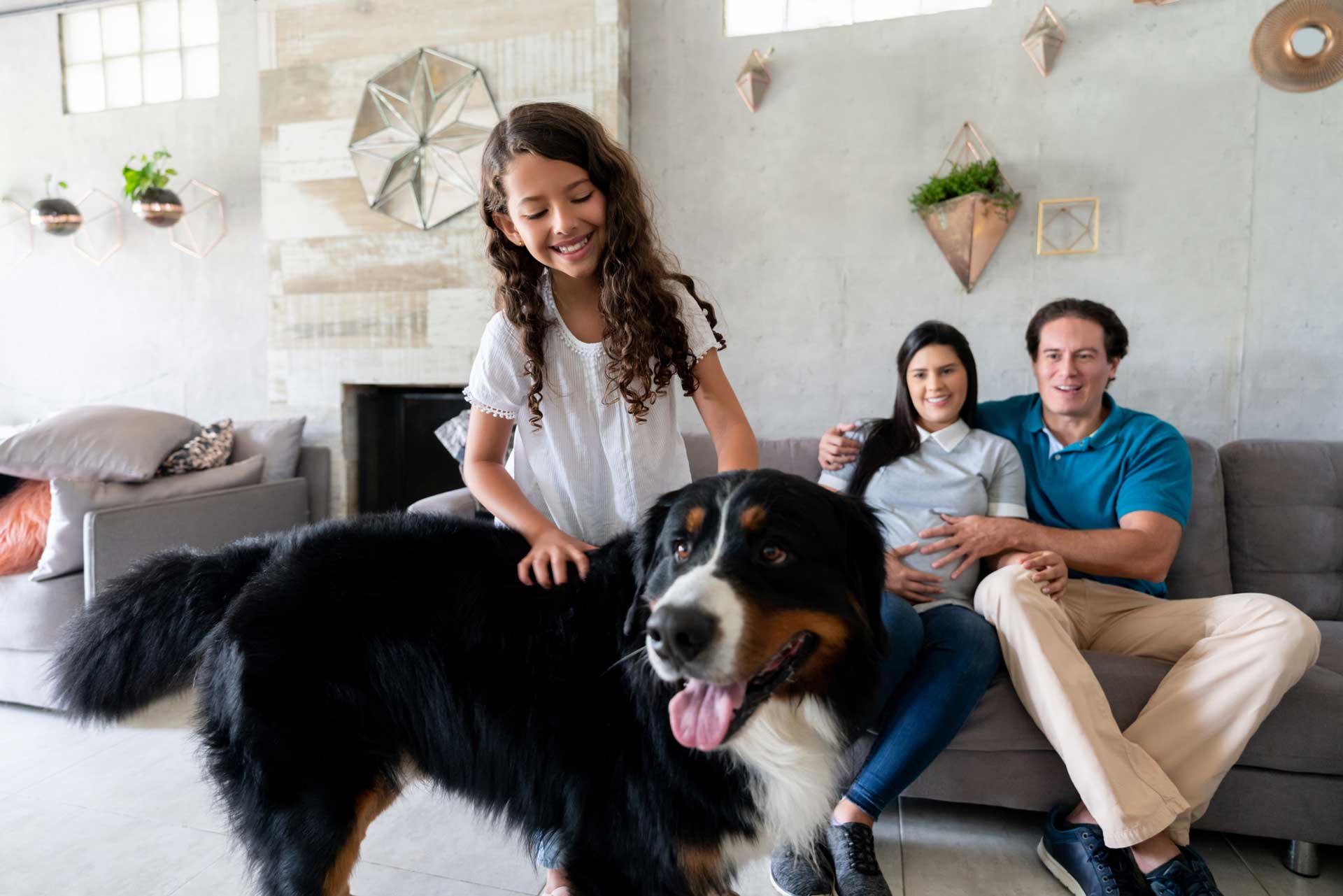 Reliable Deep Carpet Clean Lynchburg, VA PCS Professional Cleaning