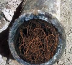 Close-up of a metal pipe opening packed with tangled rusty wires