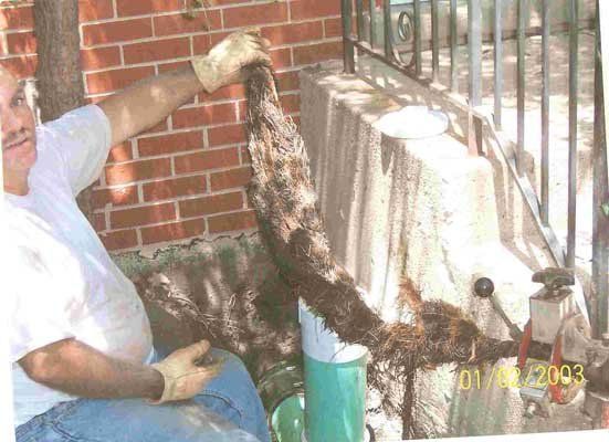 Person holding up a long, tangled snake beside a brick wall and metal fence