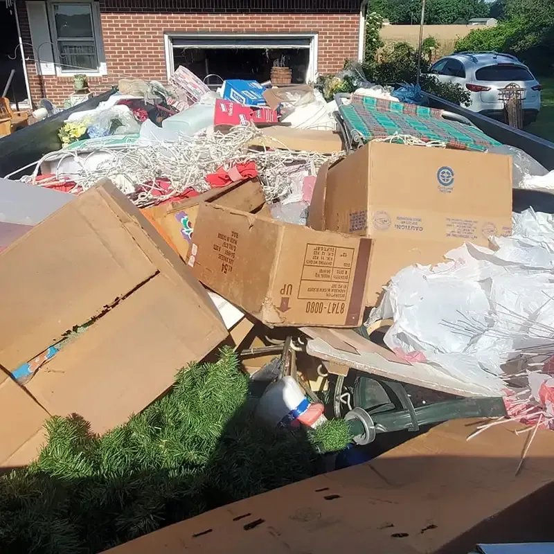 hoarder cleanouts
