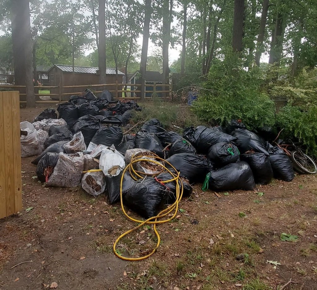 Yard Waste And Debris Removal In Elizabeth City, NC Hall's Hauling