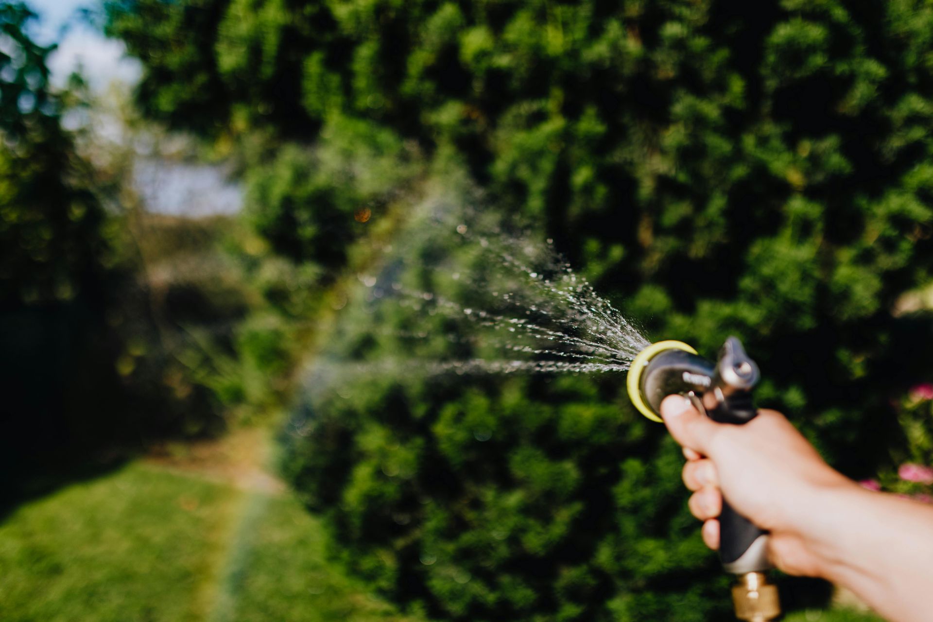 Summertime Plumbing Tips for Homeowners
