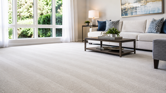 Carpet cleaner vacuuming beige carpet in a room with blue hoses attached