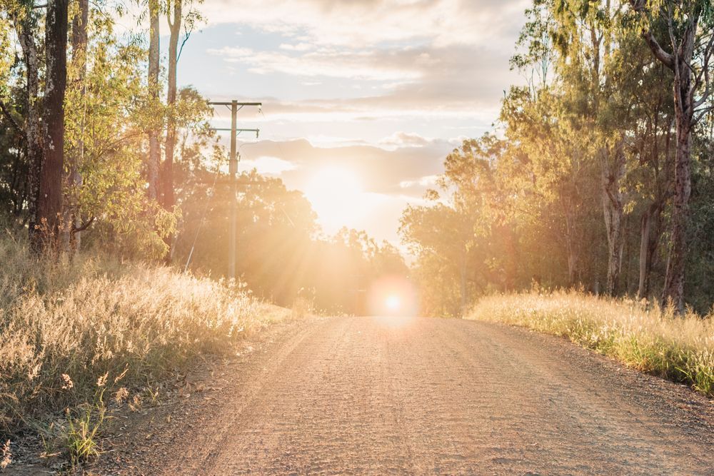 The Sun Is Shining Through The Trees On A Dirt Road — Australian Rock Walls In Ipswich, QLD