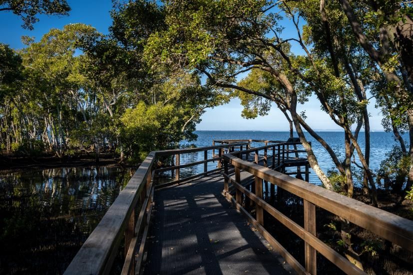 A Wooden Bridge Over A Body Of Water Surrounded By Trees — Australian Rock Walls In Wynnum, QLD