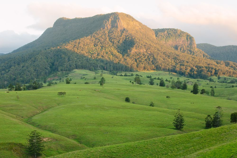 A Lush Green Field With A Mountain In The Background — Australian Rock Walls In Beaudesert, QLD