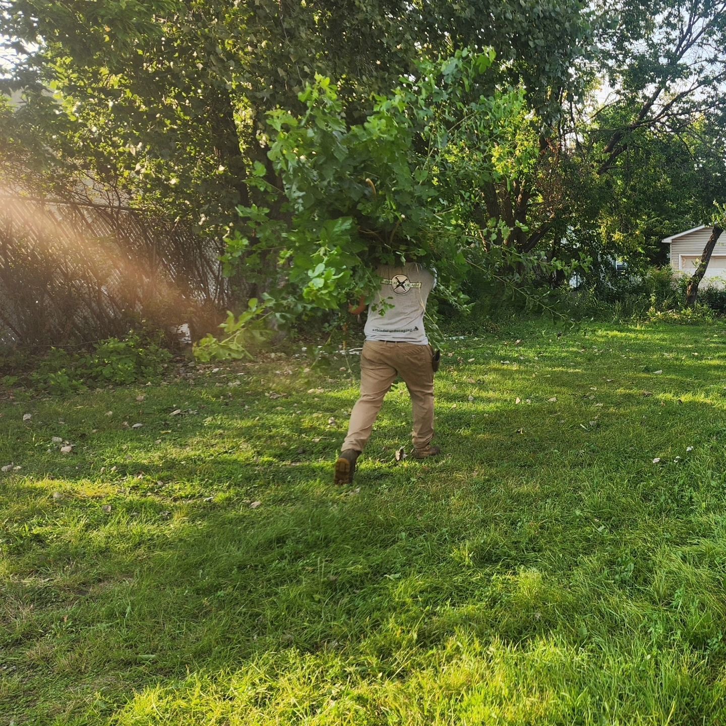 Professional lawn mowing in St Paul MN with SilverBlade Lawn and Landscape
