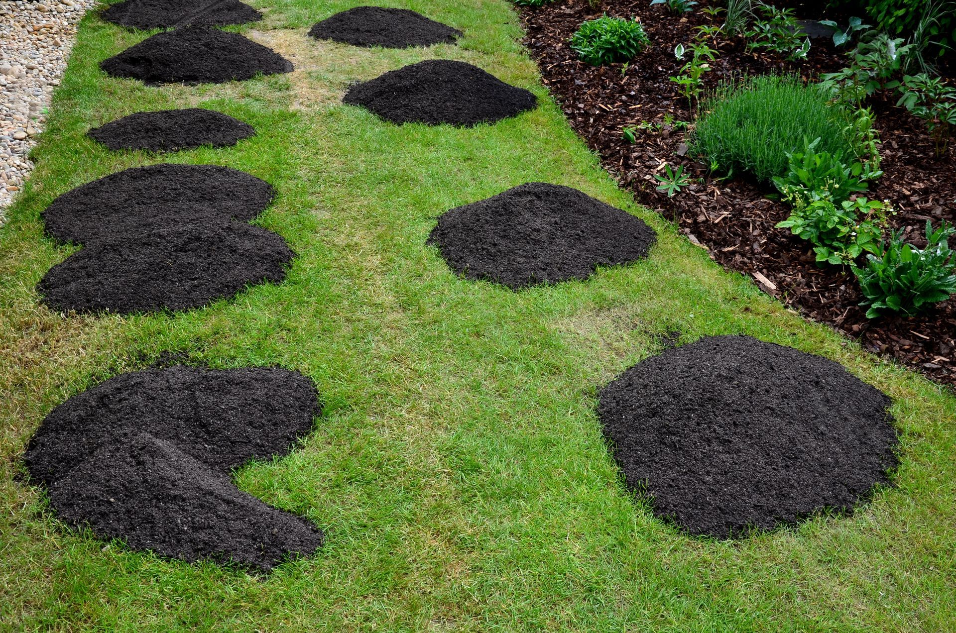Expert lawn aeration in St Paul MN with SilverBlade Lawn and Landscape