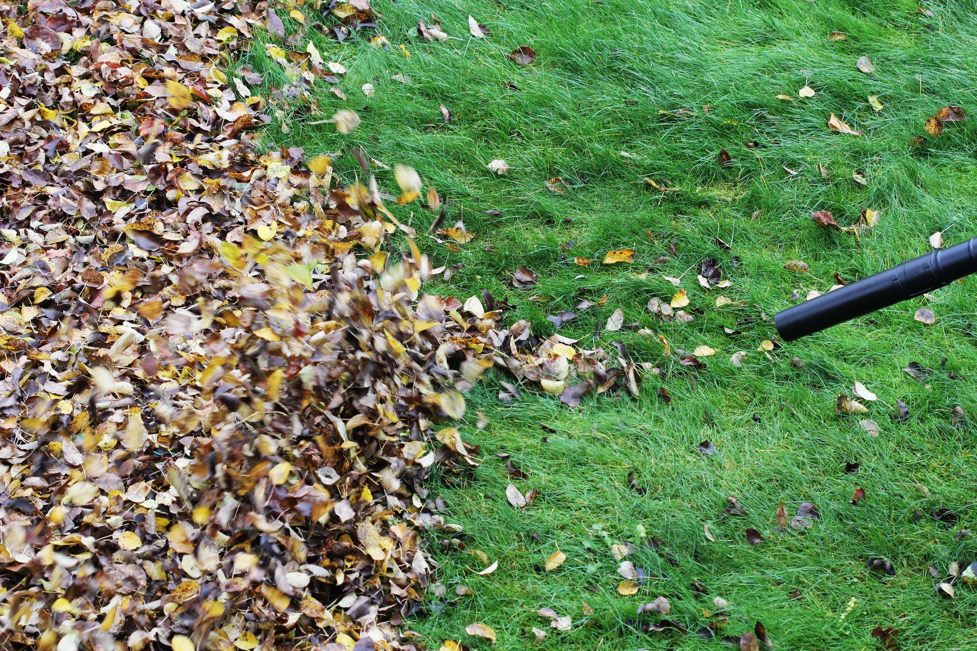 SilverBlade Lawn and Landscape