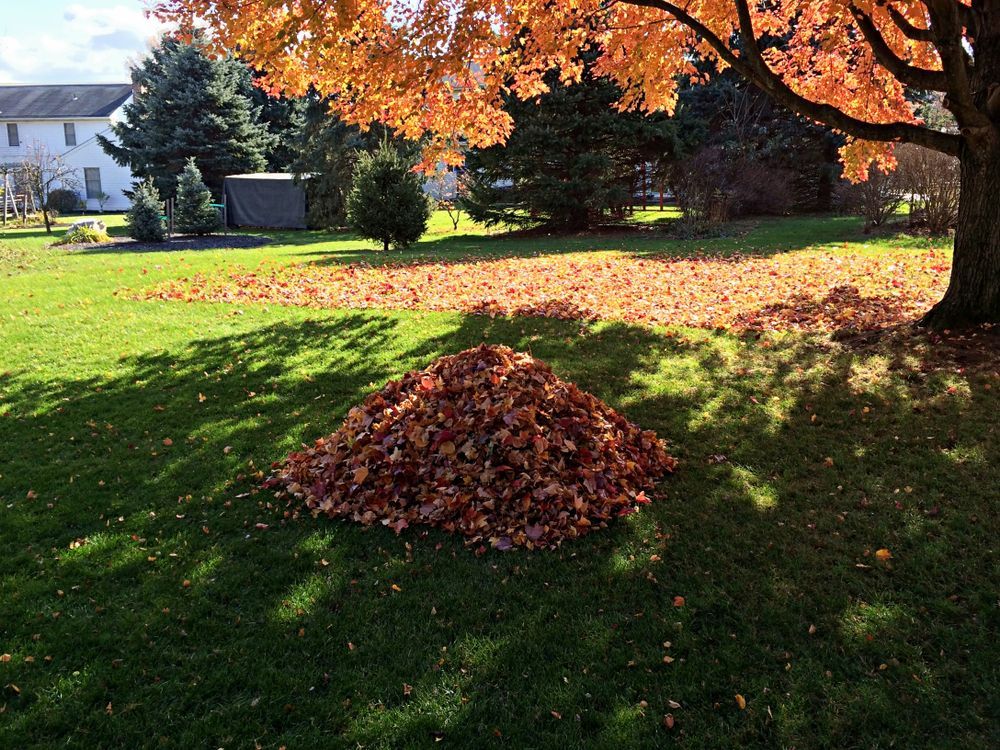 Get leaf cleanup in St Paul MN with SilverBlade Lawn and Landscape