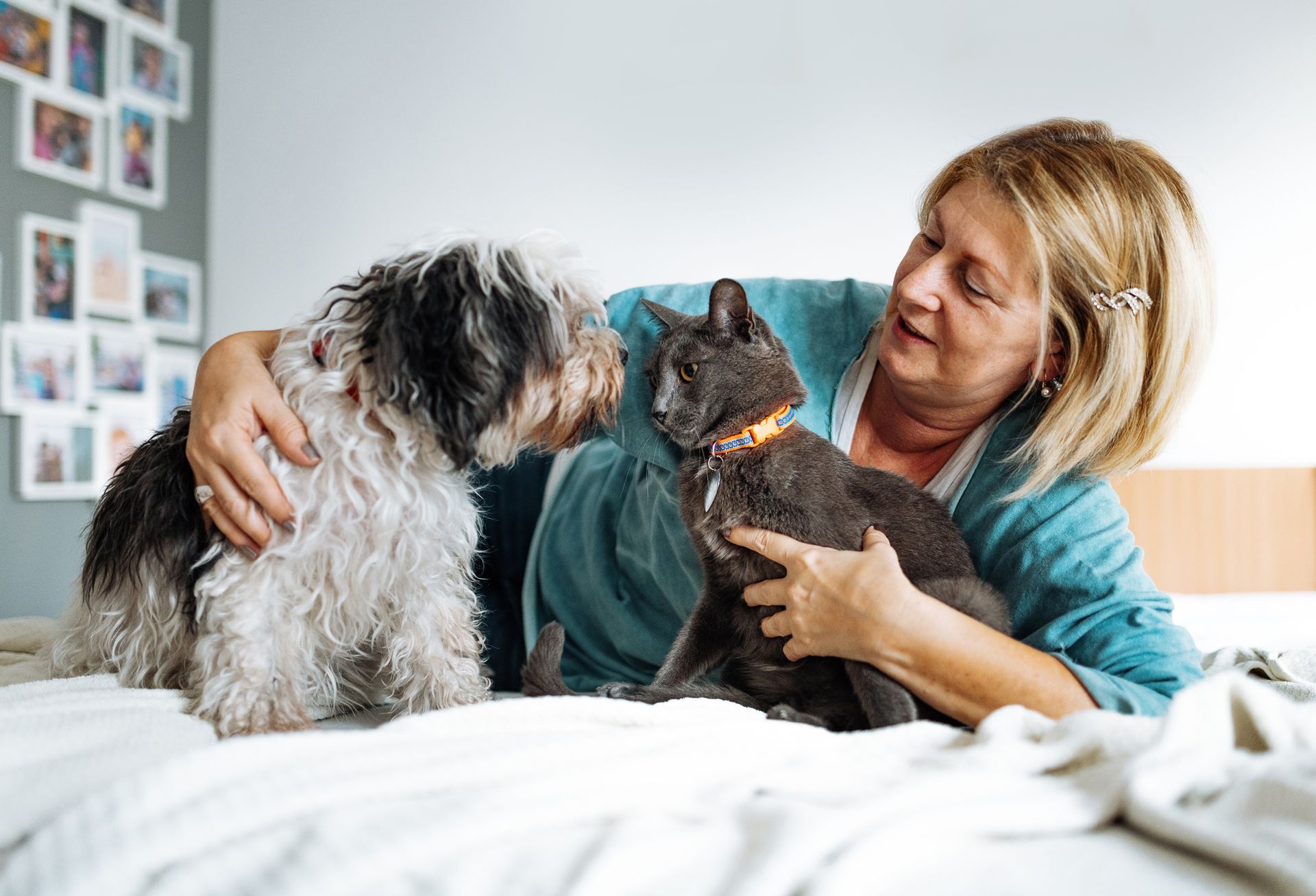 Pet Core Care – Wilmington, NC – Floral Parkway Animal