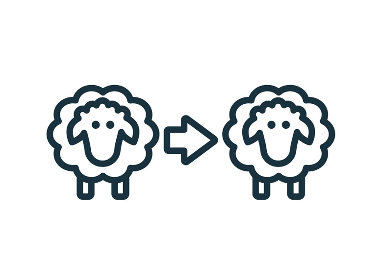 Two sheep with arrows pointing in opposite directions.