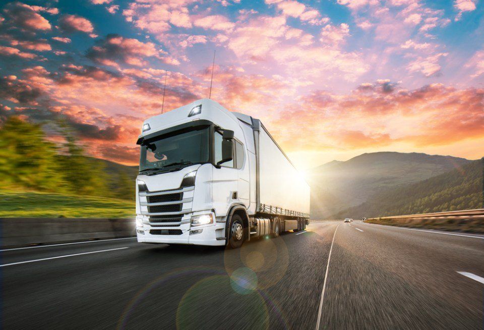 Logistica
