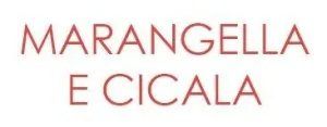 AUTOCARROZZERIA MARANGELLA & CICALA snc-LOGO AUTOCARROZZERIA MARANGELLA & CICALA snc - LOGO