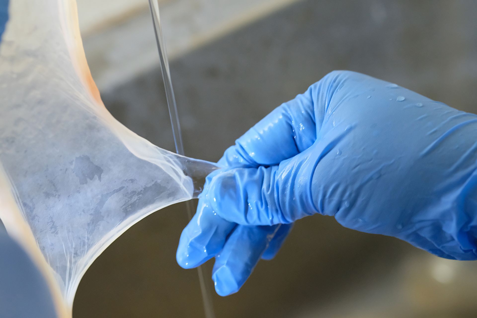 A person wearing blue gloves is holding a piece of plastic