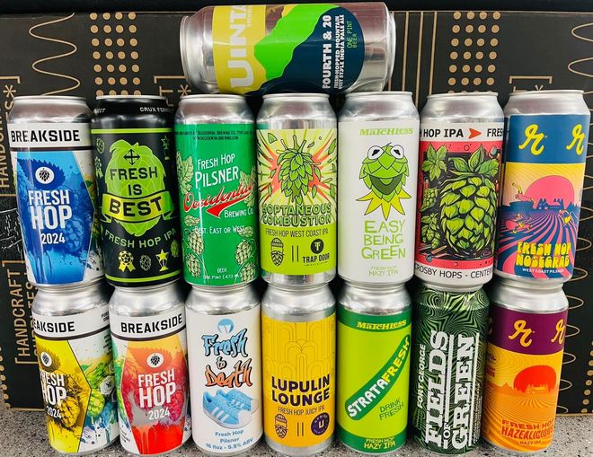 A variety of cans of beer are lined up on a table.