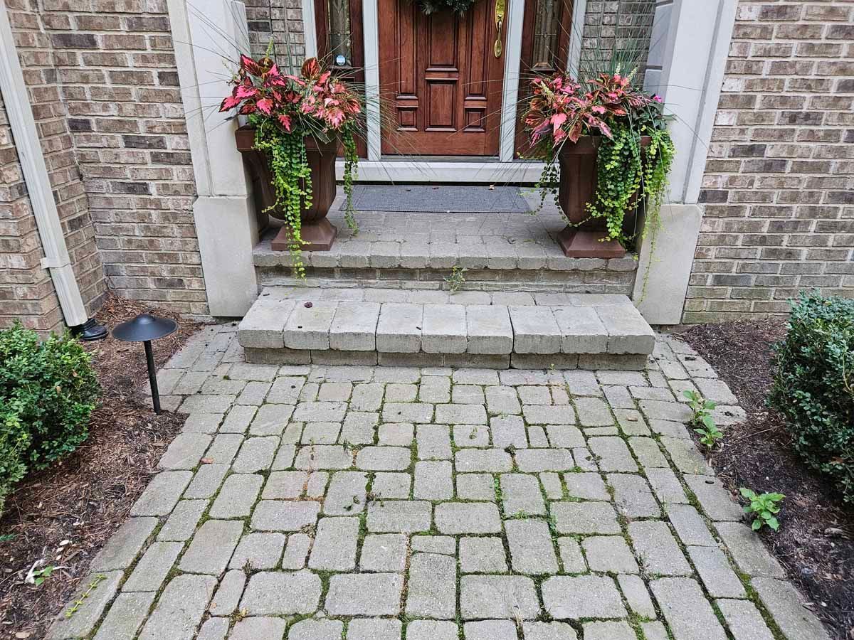 Stone walkway leading to a front door with potted pink flowers on either side