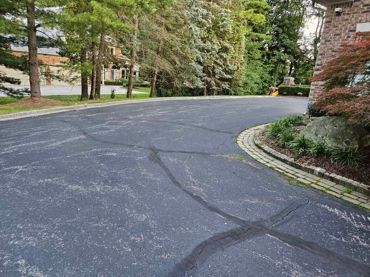 Curved asphalt driveway lined with trees and shrubs in a residential area