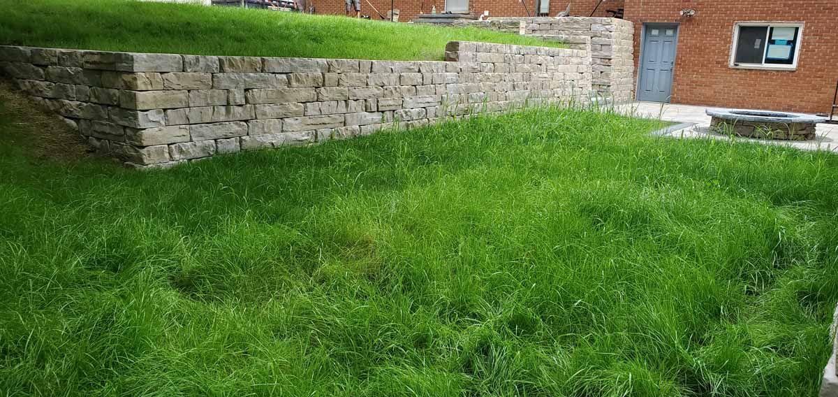 Grassy backyard with a stone retaining wall and a brick house in the background