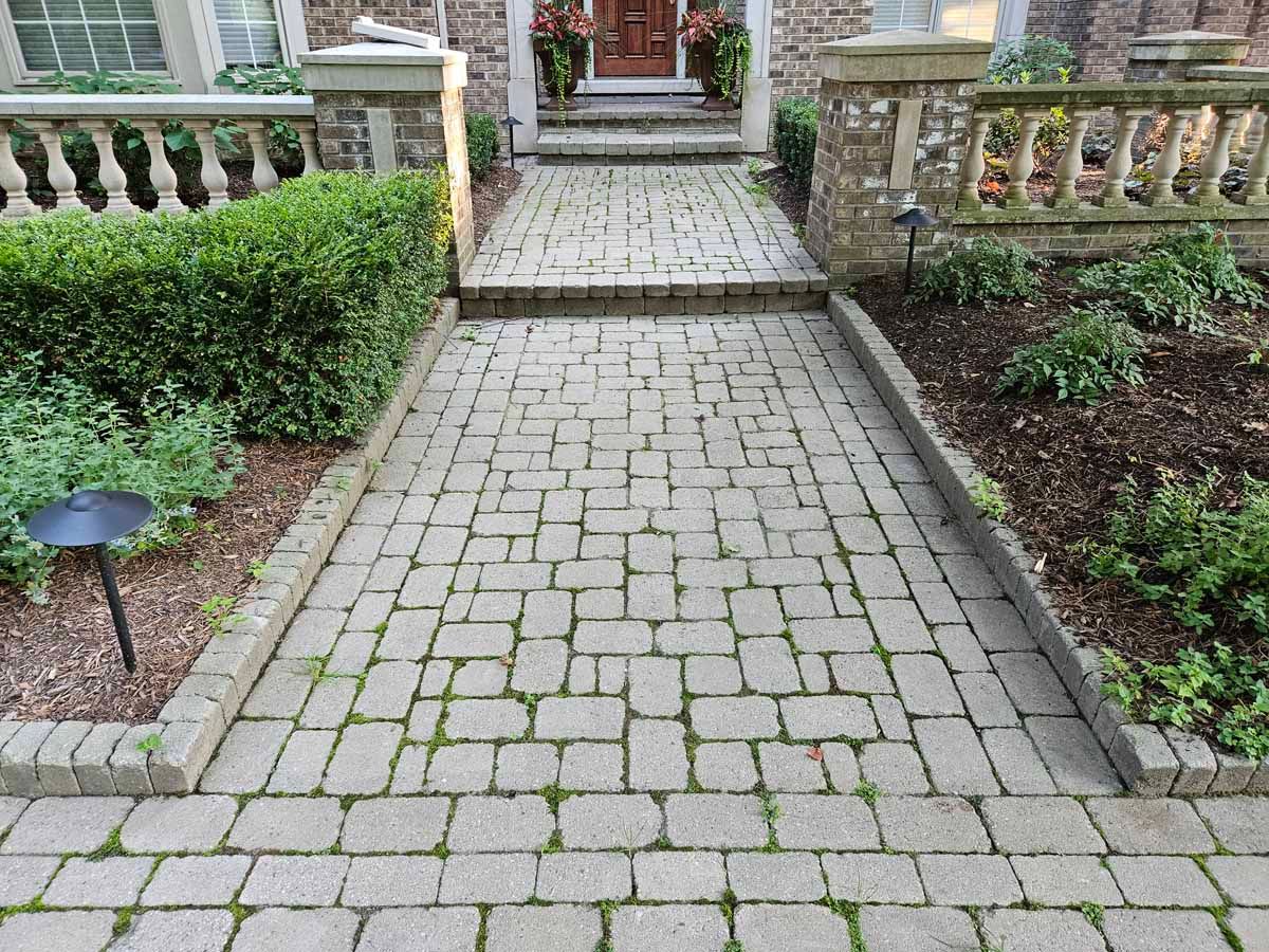 Stone garden path leading to a house entrance, bordered by green shrubs and low brick edging.