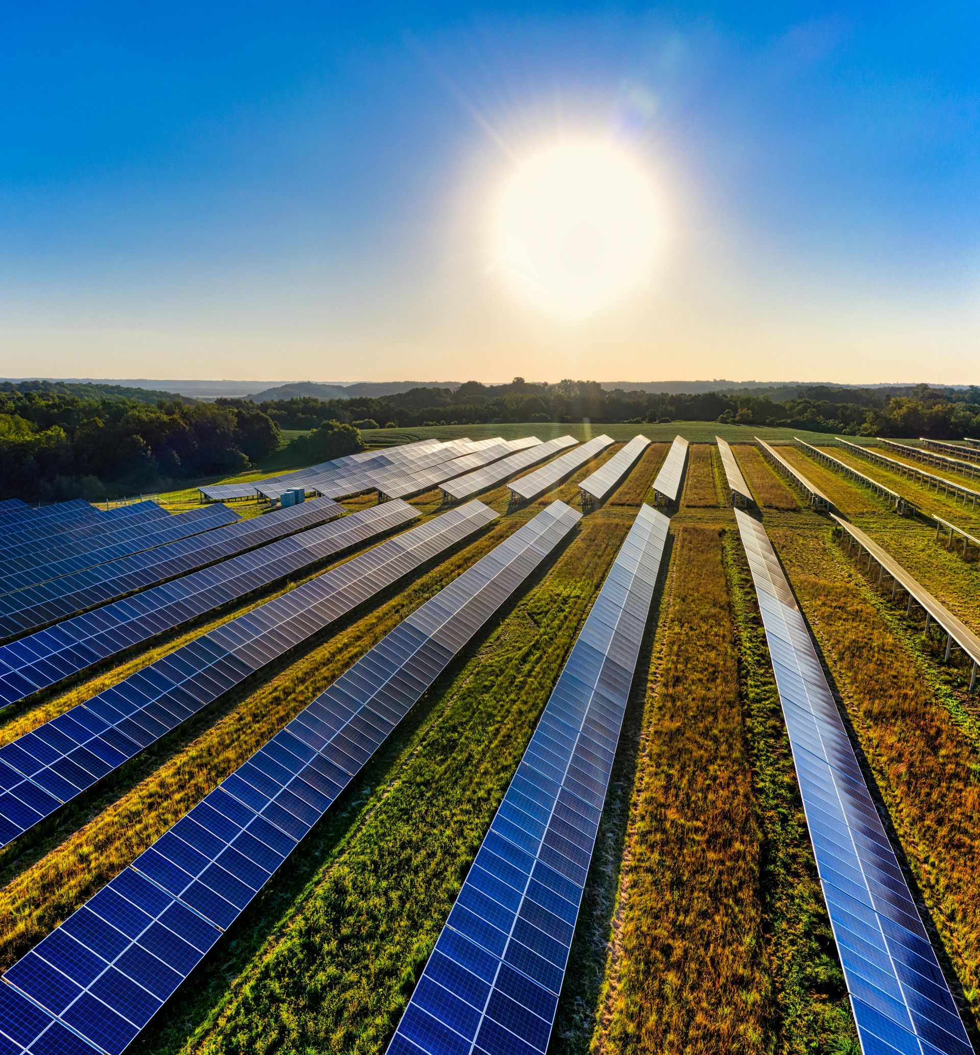 Solar panels stretching across a field at sunrise under a bright blue sky.