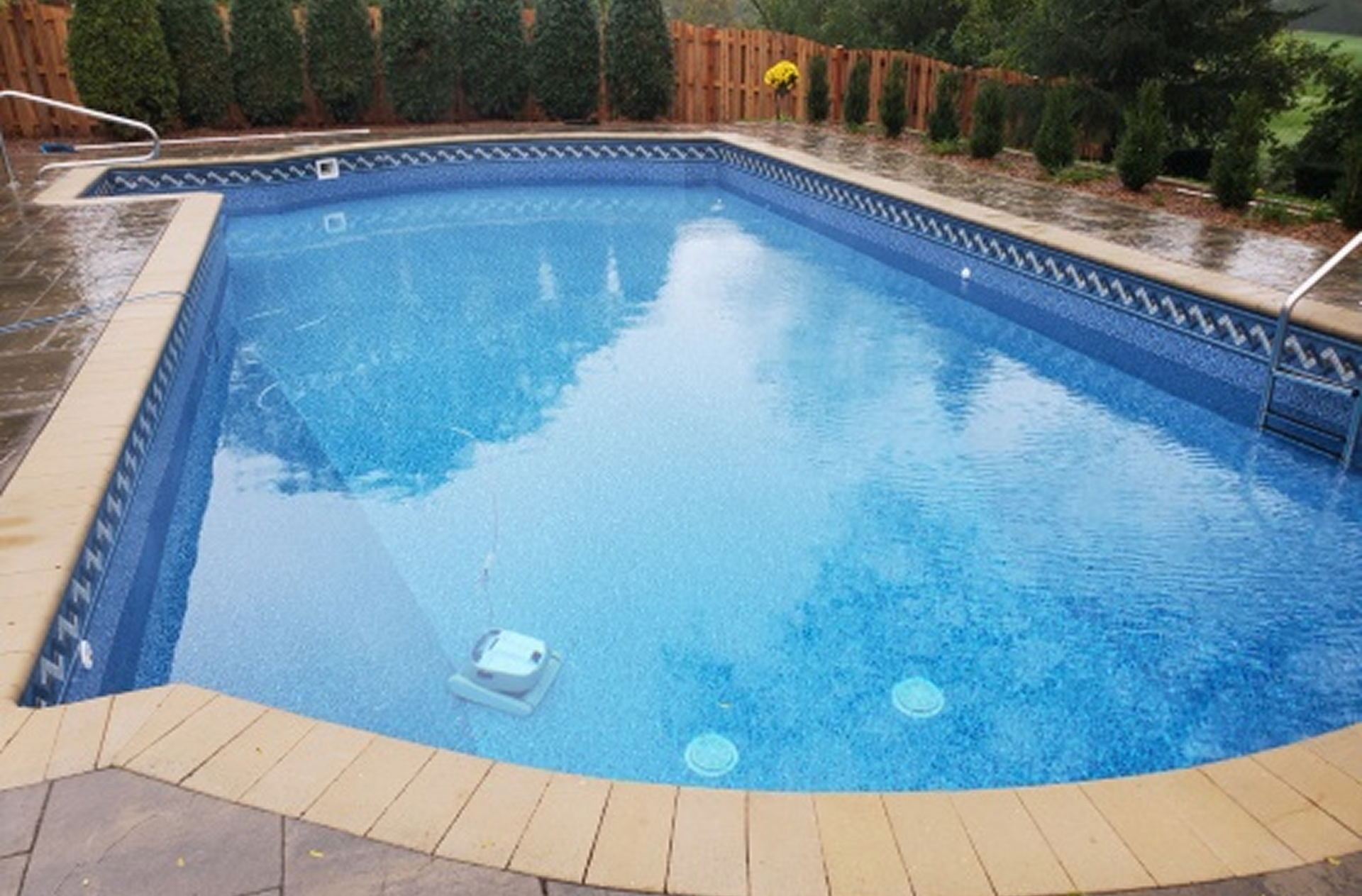 Backyard swimming pool with blue water, tan tile border, and trees and hedges around it