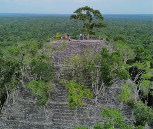 Dentro de la cabina de un helicóptero, un pasajero filma un denso bosque verde a través de la ventana delantera.