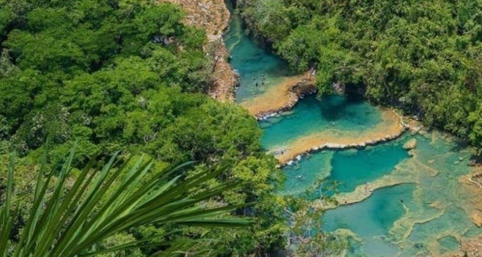 Una exuberante vegetación verde se alza sobre estanques escalonados y una estrecha cascada en un cañón tropical.