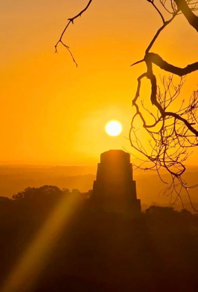 Puesta de sol sobre un templo de piedra recortado contra el cielo, enmarcado por las ramas de los árboles y un cielo  naranja