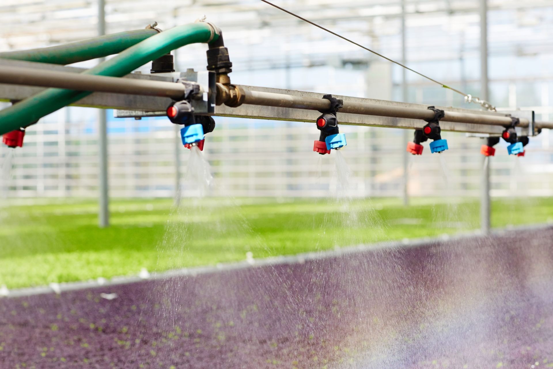 Irrigation Pipes Spraying Water Over a Green Field in a Greenhouse or Farm Setting — Taree Water Works in Taree, NSW