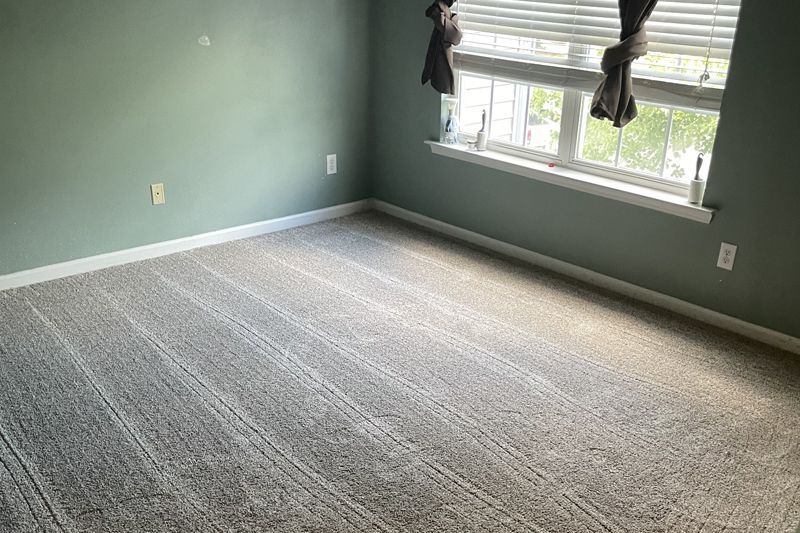 Empty room with new gray carpet, sage green walls, and a window with blinds.