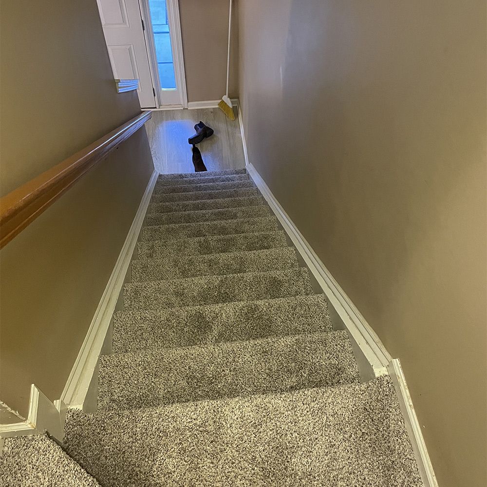 Carpet Services