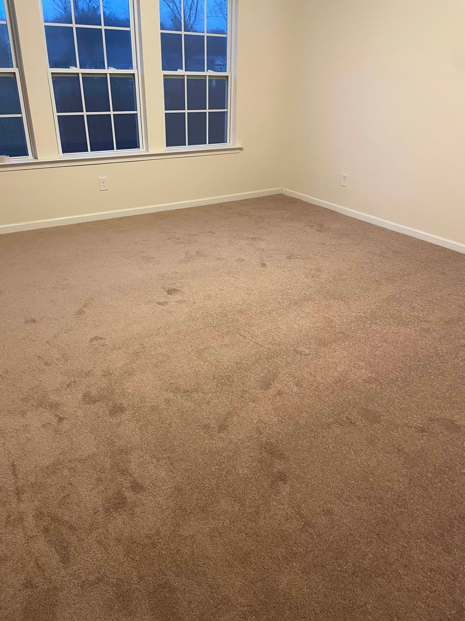 Empty room with brown carpet, two windows, and beige walls.