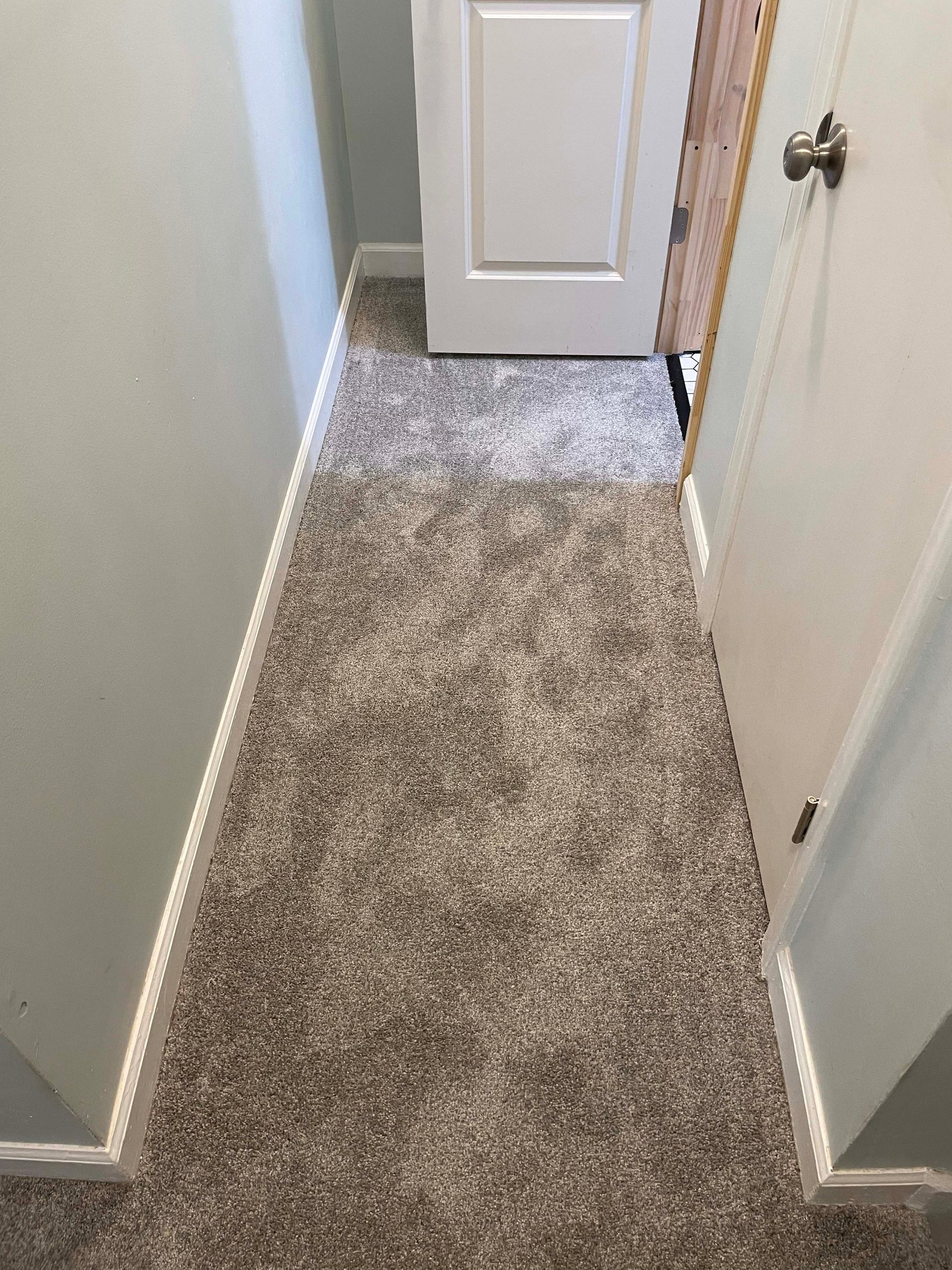 Narrow hallway with new gray carpet, white trim, and doors.