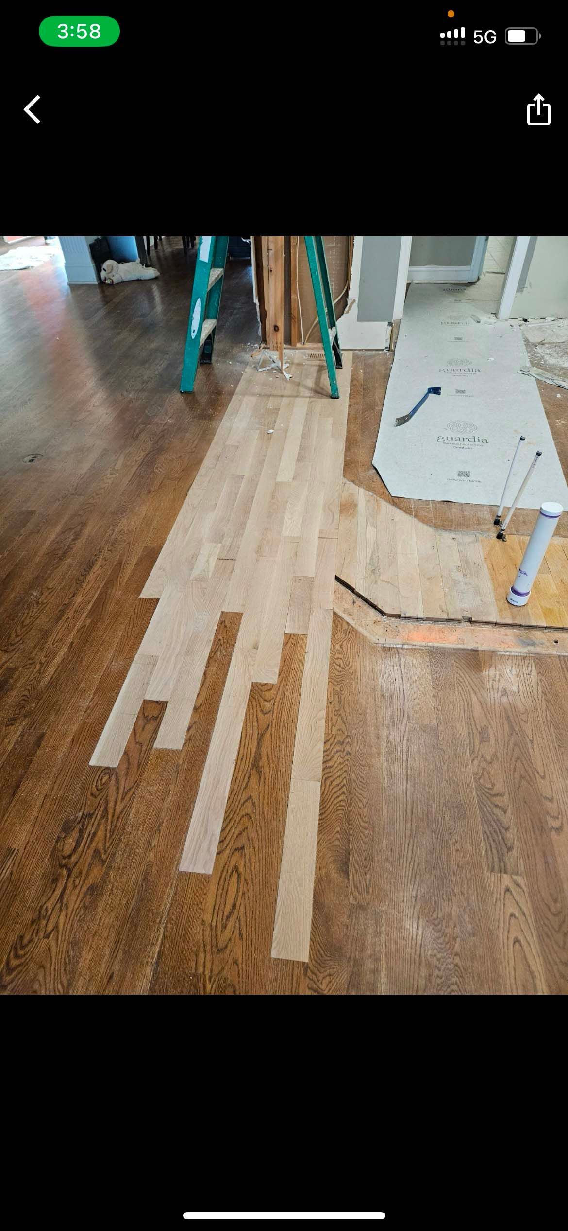 Subfloor Repair