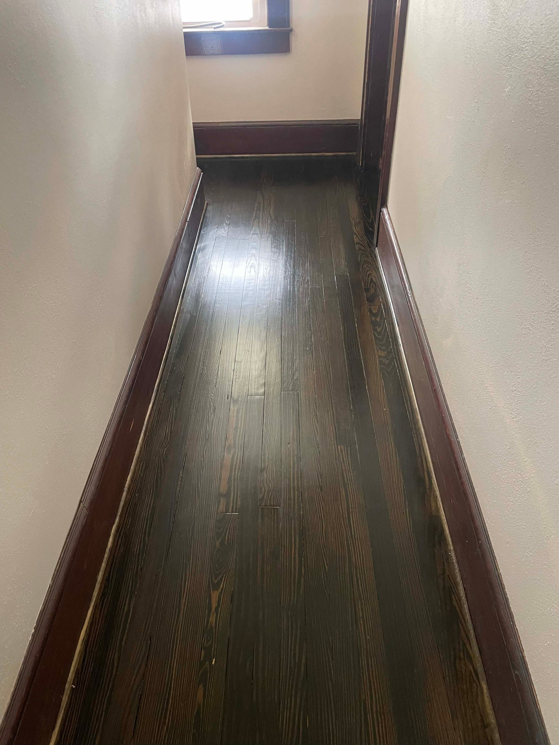 Mold remediation