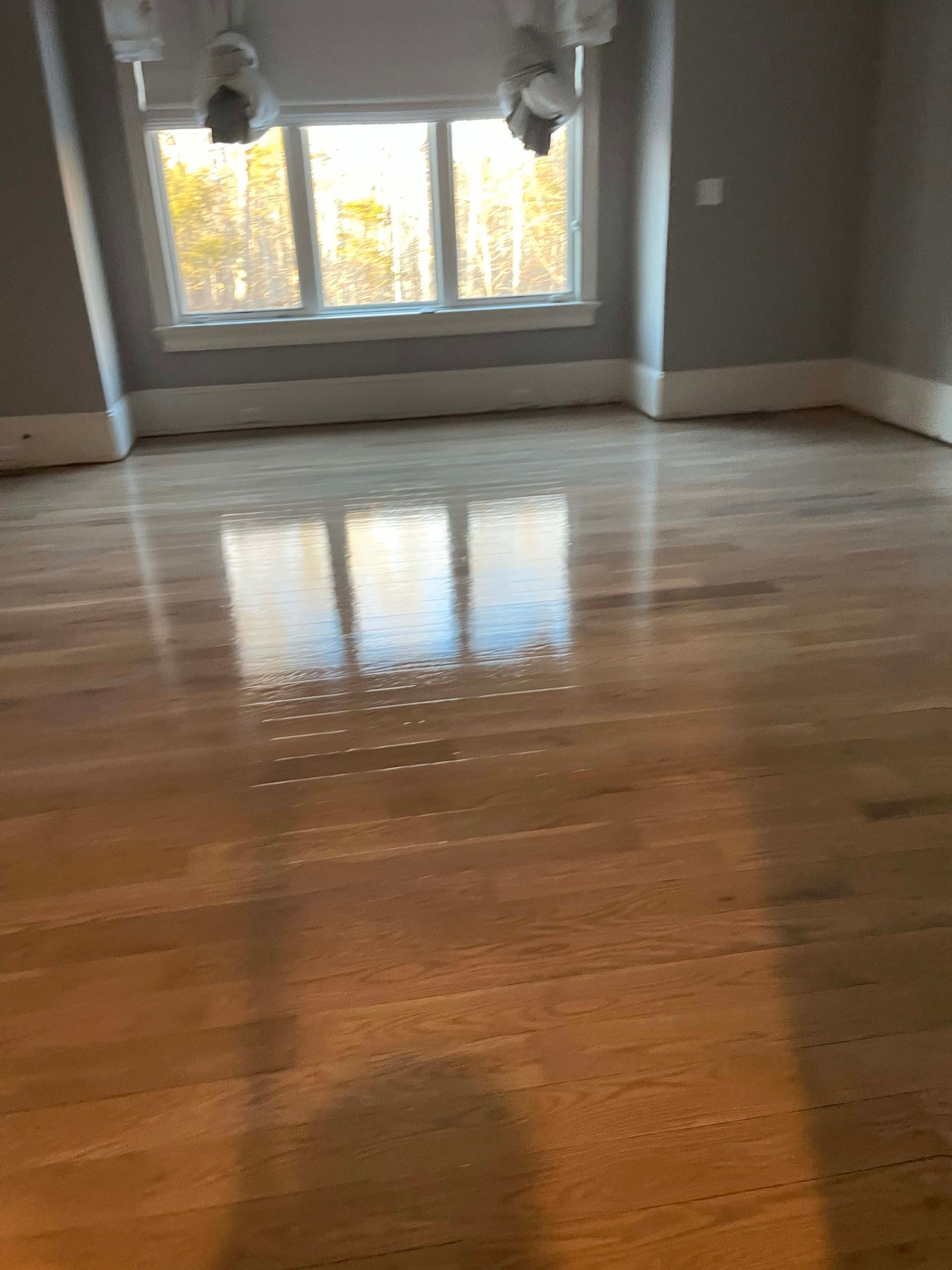 Mold remediation
