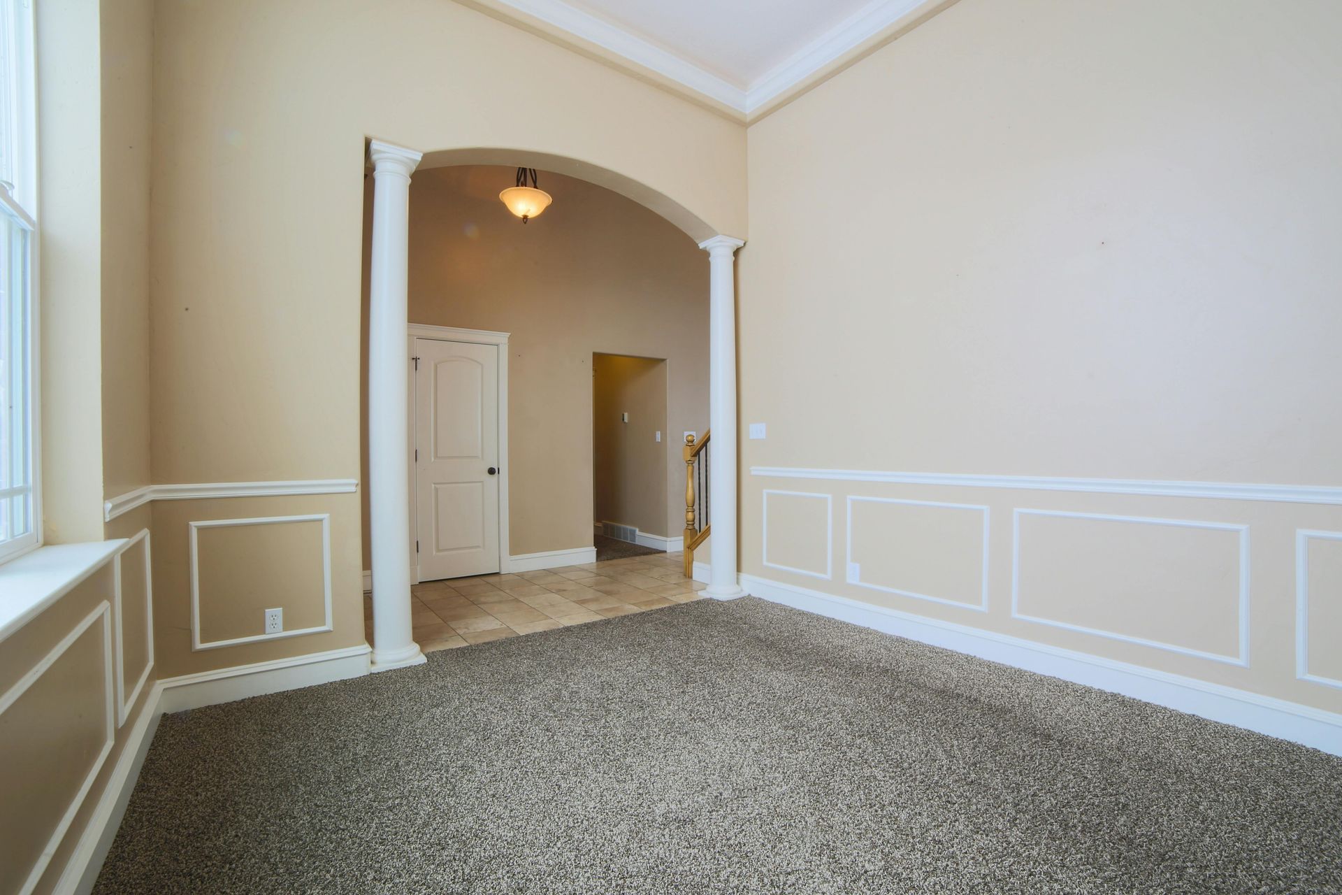 Mold remediation