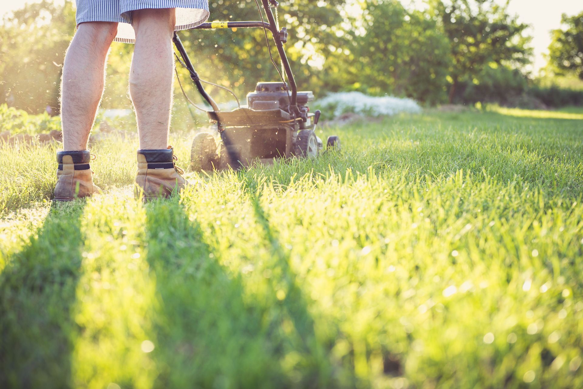 Person mowing a sunlit lawn with a push mower, long shadows across green grass.