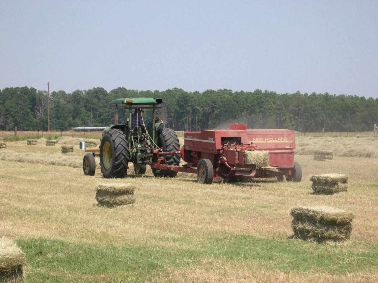 Tractor baling hay in a dry field with several rectangular hay bales nearby