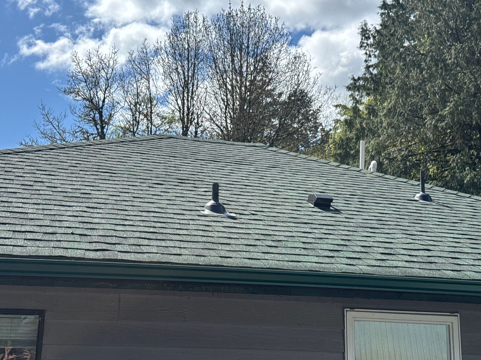 Gray shingle roof with black vents against a blue sky with trees.