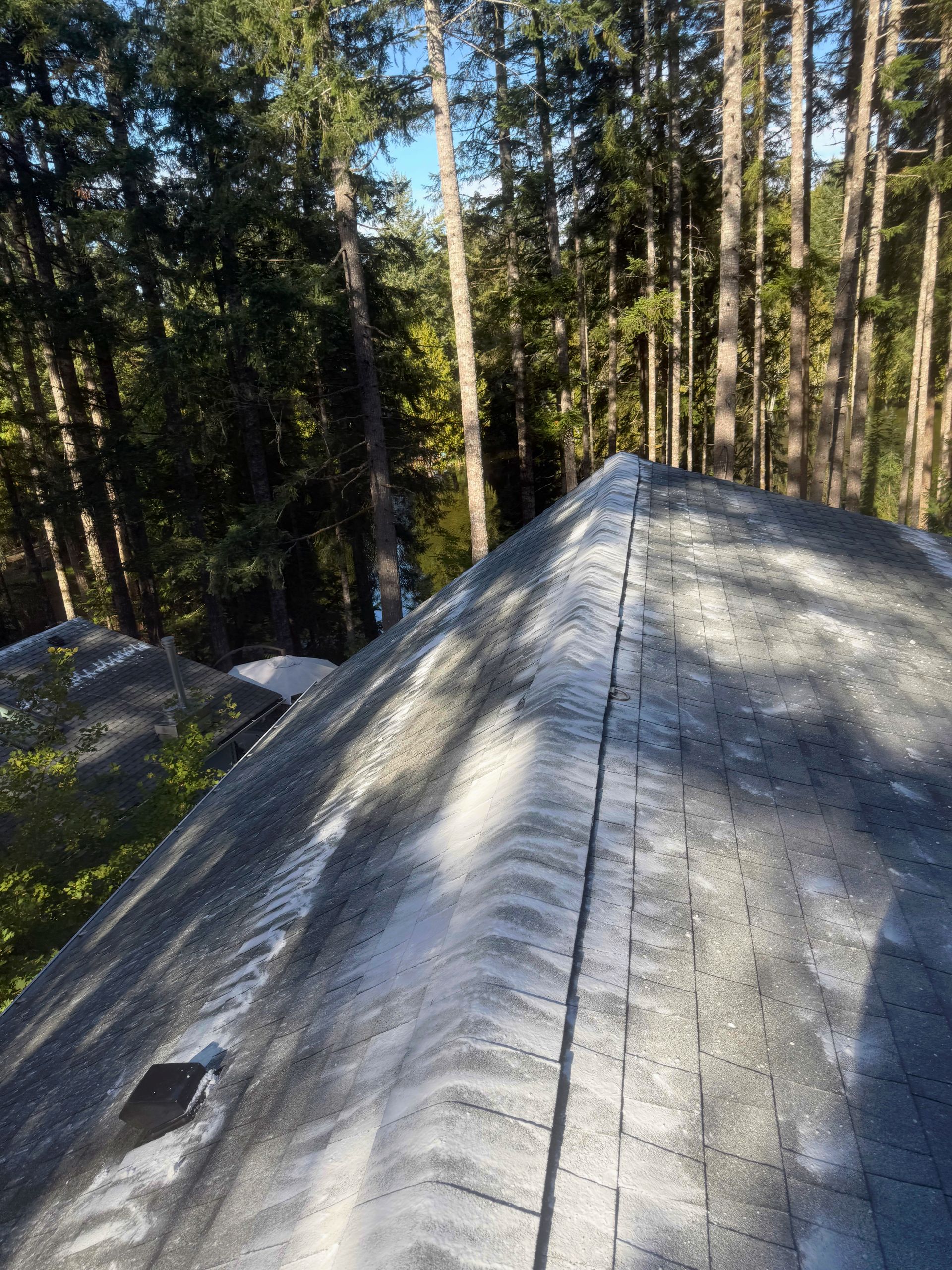 Gray asphalt shingle roof, with a ridge line, and surrounded by tall green trees.