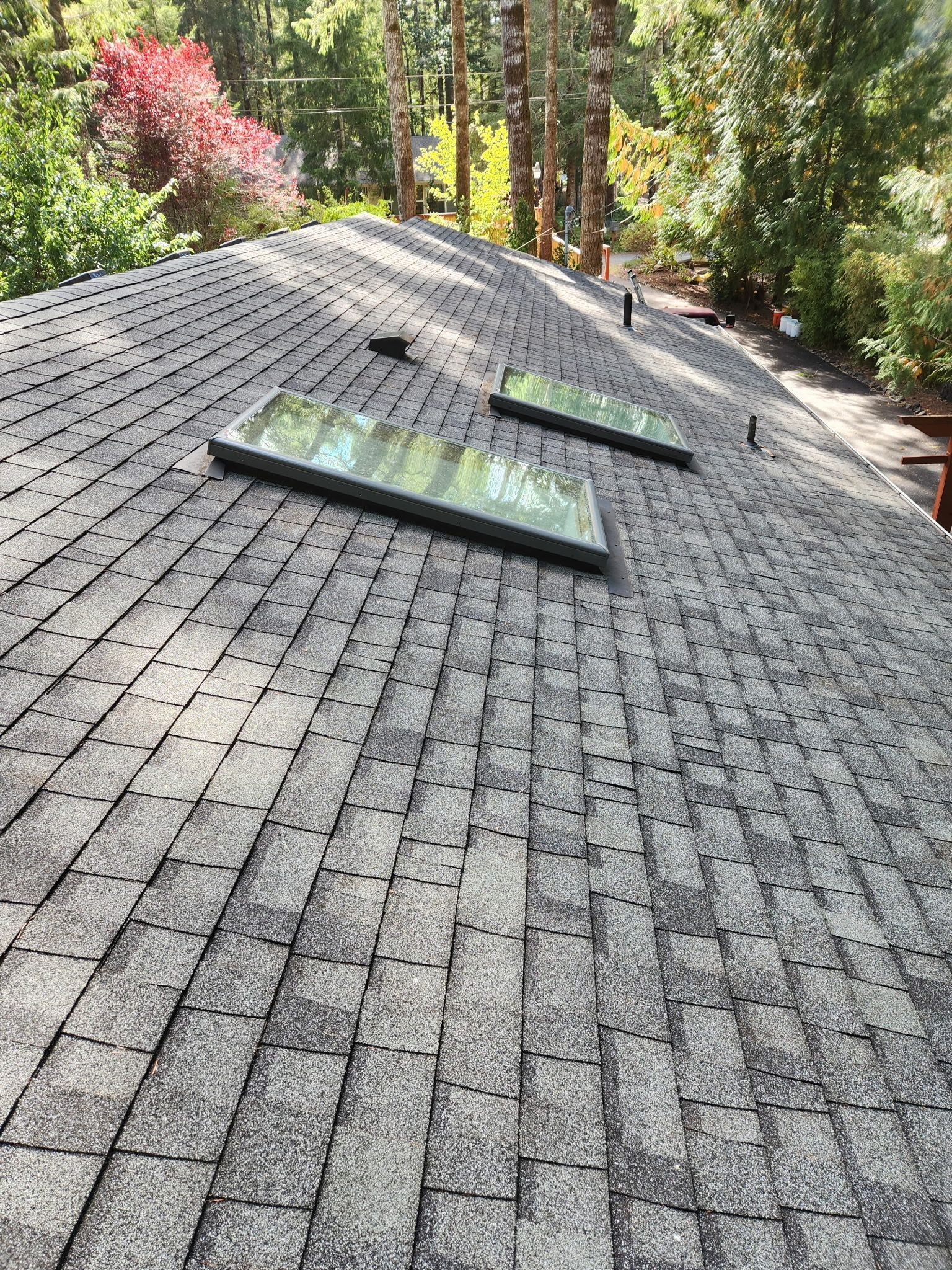 A shingled roof with two rectangular skylights, surrounded by trees.